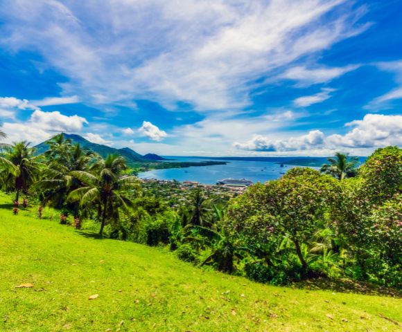 Overlooking a tropical coastline, a vibrant green hillside leads to a view of a town bordering a blue bay, mountains, and a cruise ship. Towering palm trees, dense shrubbery, and a bright blue sky filled with fluffy clouds complete the scene.