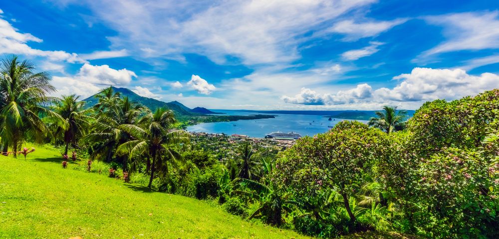 Overlooking a tropical coastline, a vibrant green hillside leads to a view of a town bordering a blue bay, mountains, and a cruise ship. Towering palm trees, dense shrubbery, and a bright blue sky filled with fluffy clouds complete the scene.