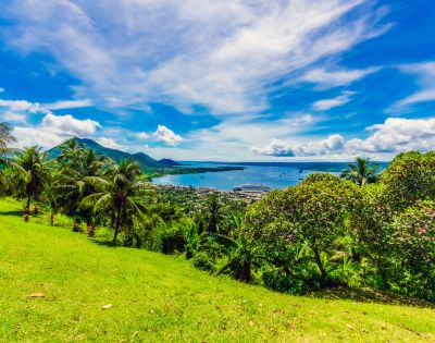 Overlooking a tropical coastline, a vibrant green hillside leads to a view of a town bordering a blue bay, mountains, and a cruise ship. Towering palm trees, dense shrubbery, and a bright blue sky filled with fluffy clouds complete the scene.