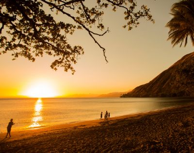 Golden sunset over a calm ocean and sandy beach, with silhouetted figures of people and palm trees along the shoreline, and a large mountain on the right side. Branches with leaves frame the top and bottom of the image.