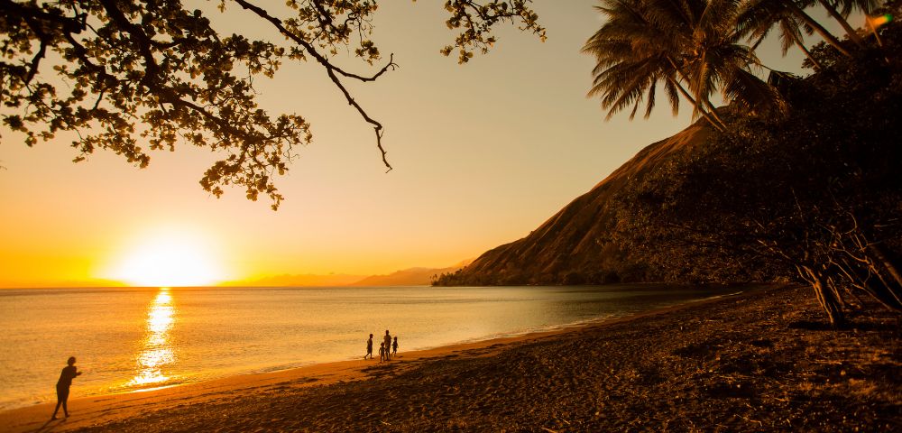 Golden sunset over a calm ocean and sandy beach, with silhouetted figures of people and palm trees along the shoreline, and a large mountain on the right side. Branches with leaves frame the top and bottom of the image.