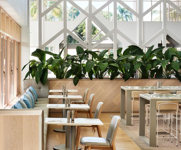 Bright, modern restaurant interior featuring tables, leafy plants, and large windows, creating an inviting dining atmosphere.