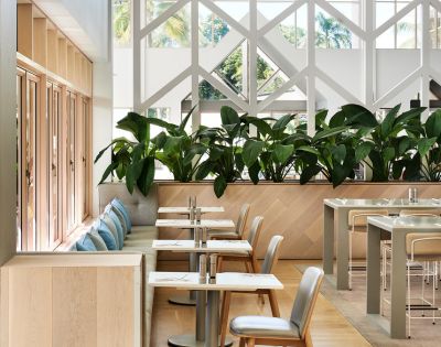 Bright, modern restaurant interior featuring tables, leafy plants, and large windows, creating an inviting dining atmosphere.
