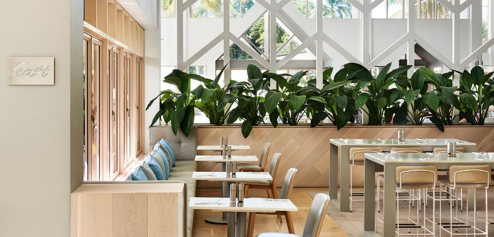 Bright, modern restaurant interior featuring tables, leafy plants, and large windows, creating an inviting dining atmosphere.