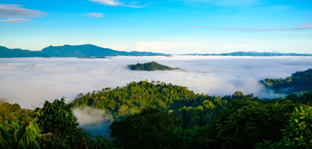 A breathtaking landscape featuring lush green hills rising above a thick, white fog blanket under a bright blue sky in Kaeng Krachan National Park.