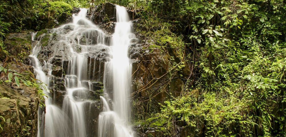 A serene waterfall cascades over dark rocks, surrounded by lush green foliage in Khao Phra Thaeo National Park.