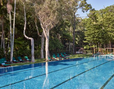 Serene swimming pool surrounded by lush greenery and lounge chairs, offering a tranquil escape in a tropical setting.