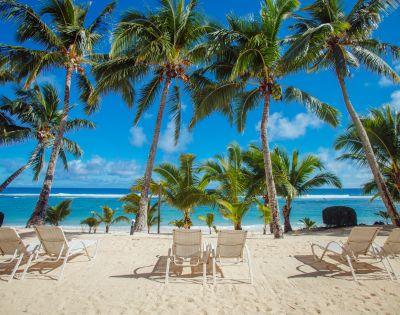 A serene beach scene with lounge chairs facing turquoise waters, framed by tall palm trees under a bright blue sky.