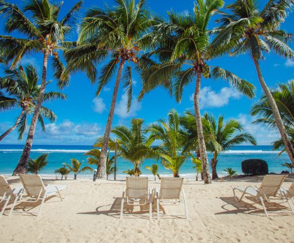 A serene beach scene with lounge chairs facing turquoise waters, framed by tall palm trees under a bright blue sky.