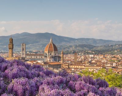 Florence skyline with the iconic Duomo dome and bell tower, seen from a hill adorned with vibrant purple wisteria, under a clear blue sky.