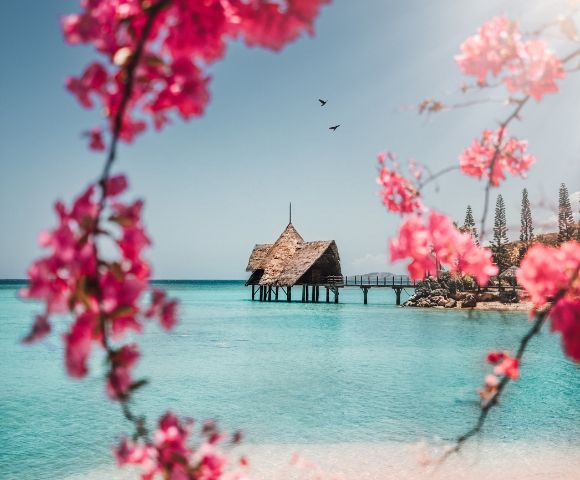 A woman sits on a rocky shore, wearing a bikini top and white shorts, gazing at the clear turquoise sea. The scene conveys a sense of relaxation and tranquility.