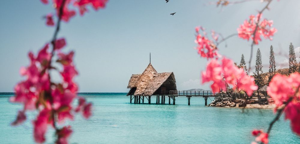 A woman sits on a rocky shore, wearing a bikini top and white shorts, gazing at the clear turquoise sea. The scene conveys a sense of relaxation and tranquility.