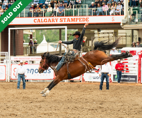 12 Day Canadian Rockies to Rodeo Main Image