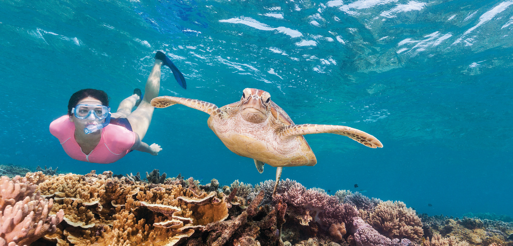 A sea turtle gracefully swims near colorful coral reefs, while a snorkeler explores the vibrant underwater scene.