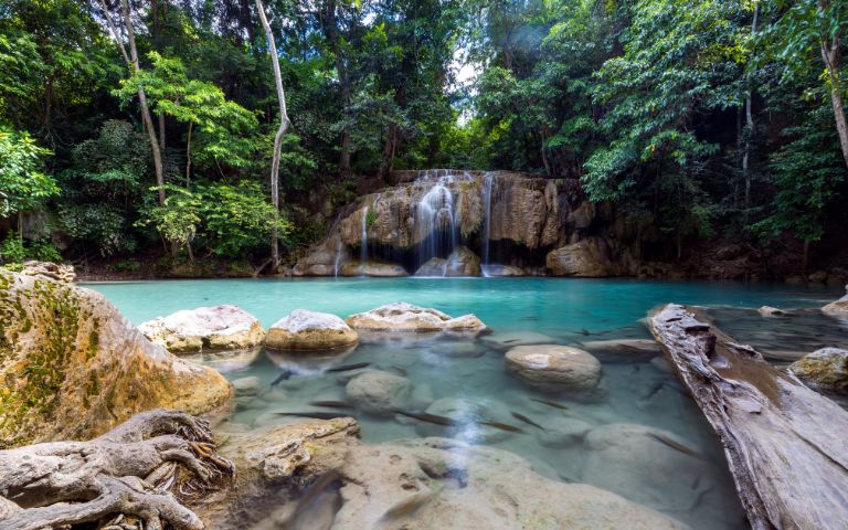 A serene jungle scene featuring a turquoise pond with smooth stones, a gentle waterfall cascading over rocks, and lush greenery surrounding it in Erawan National Park, Thailand.