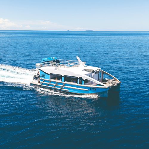 A sleek catamaran named Lynx glides over calm blue waters, leaving a white wake under a clear sky.