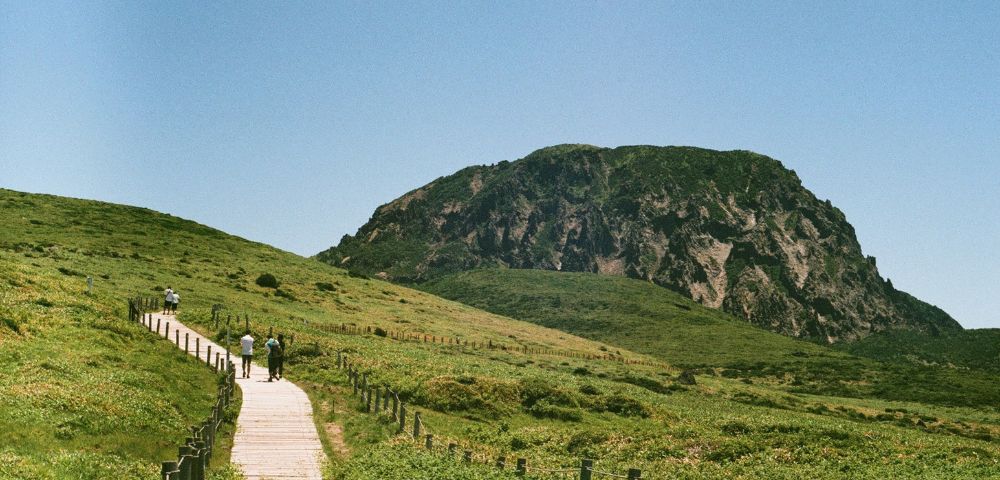 A serene landscape featuring a wooden walkway winding through lush green fields towards a rocky hill under a clear blue sky. People stroll along, enjoying nature.
