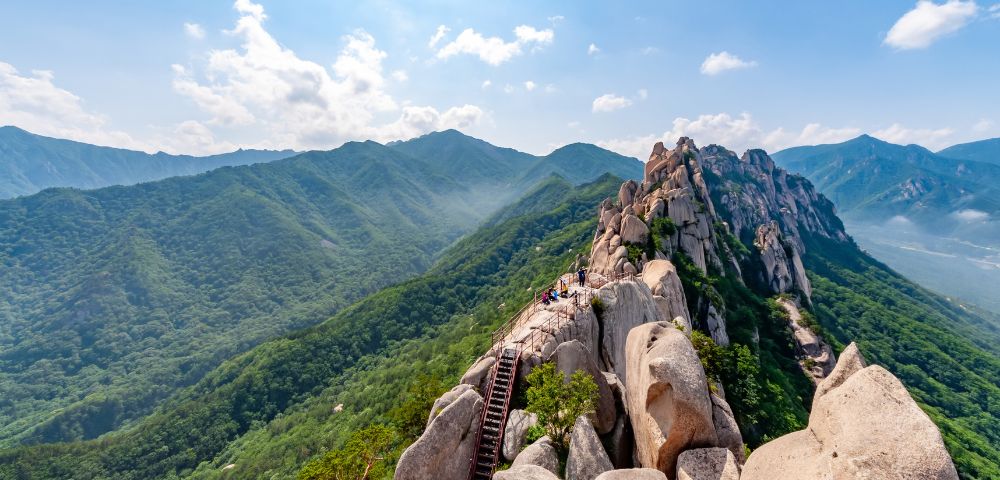 A panoramic view from a rocky mountain peak, surrounded by lush green forests and rolling hills under a bright blue sky.