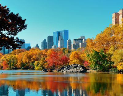 A serene lake reflects vibrant autumn trees in Central Park, with colorful foliage and the New York City skyline under a clear blue sky.