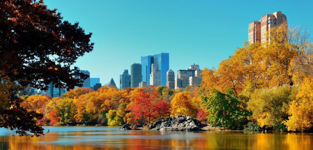A serene lake reflects vibrant autumn trees in Central Park, with colorful foliage and the New York City skyline under a clear blue sky.