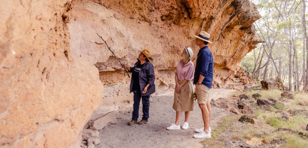 A group explores ancient rock art in a natural setting, surrounded by trees, with one person pointing at the artwork on the stone wall.