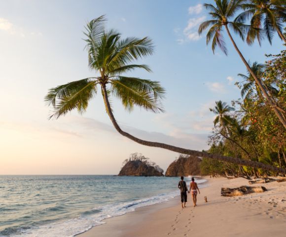 A couple walks hand in hand with a dog on a serene beach at sunset. Palm trees line the shore as gentle waves touch the sand, creating a peaceful scene.