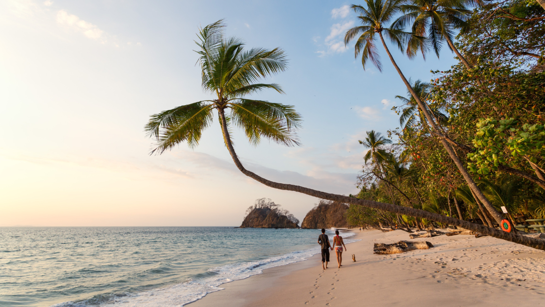 Print Stylesheet Image