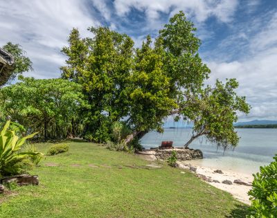 Lush green landscape with a large tree overlooking a serene beach, featuring a stone path and a red bench by the water's edge.