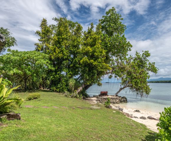 Lush green landscape with a large tree overlooking a serene beach, featuring a stone path and a red bench by the water's edge.