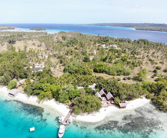 The image depicts a beautiful tropical island surrounded by a large body of water. The island is covered in lush green trees, and there are several small houses scattered across the landscape. A boat can be seen docked near the shore, adding to the picturesque scene. The island's shoreline is lined with sand, creating a serene and inviting atmosphere.