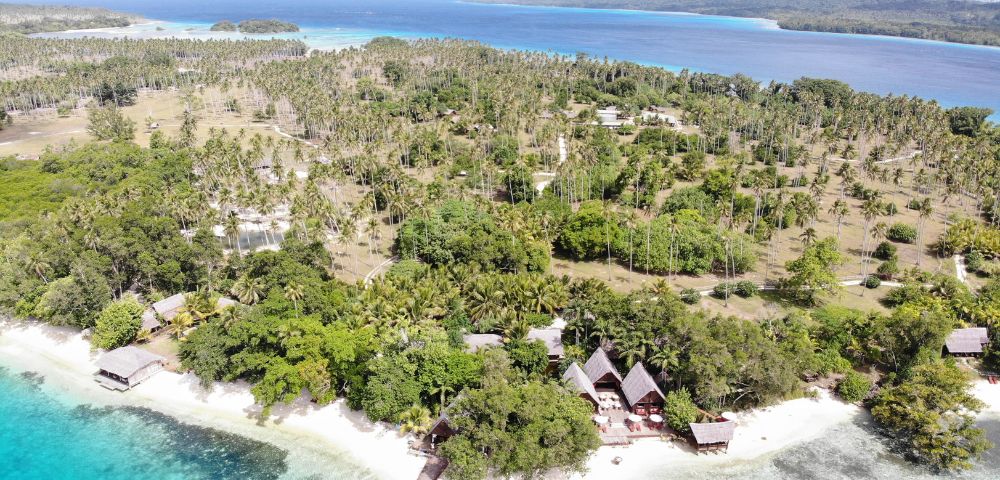 The image features a beautiful tropical island with a lush green forest and palm trees scattered throughout the landscape. The island is surrounded by a large body of water, possibly the ocean. There are several houses and huts located on the island, some closer to the water and others further inland.