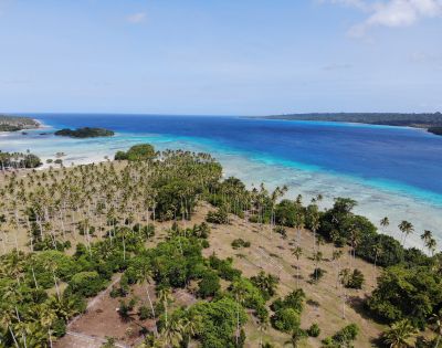 The image features a beautiful tropical island with a lush green forest and a sandy beach. The island is surrounded by a large body of water, which appears to be a turquoise lagoon. The landscape is dotted with palm trees, providing a picturesque view of the island. In the background, there are a few small boats scattered across the water, likely enjoying the serene surroundings. The overall scene exudes a sense of tranquility and natural beauty.