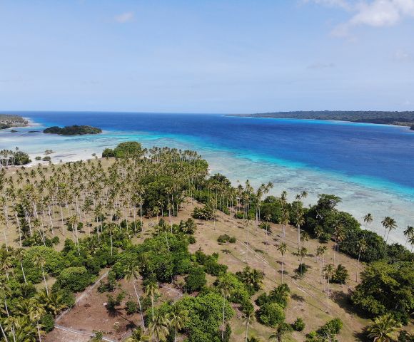 The image features a beautiful tropical island with a lush green forest and a sandy beach. The island is surrounded by a large body of water, which appears to be a turquoise lagoon. The landscape is dotted with palm trees, providing a picturesque view of the island. In the background, there are a few small boats scattered across the water, likely enjoying the serene surroundings. The overall scene exudes a sense of tranquility and natural beauty.