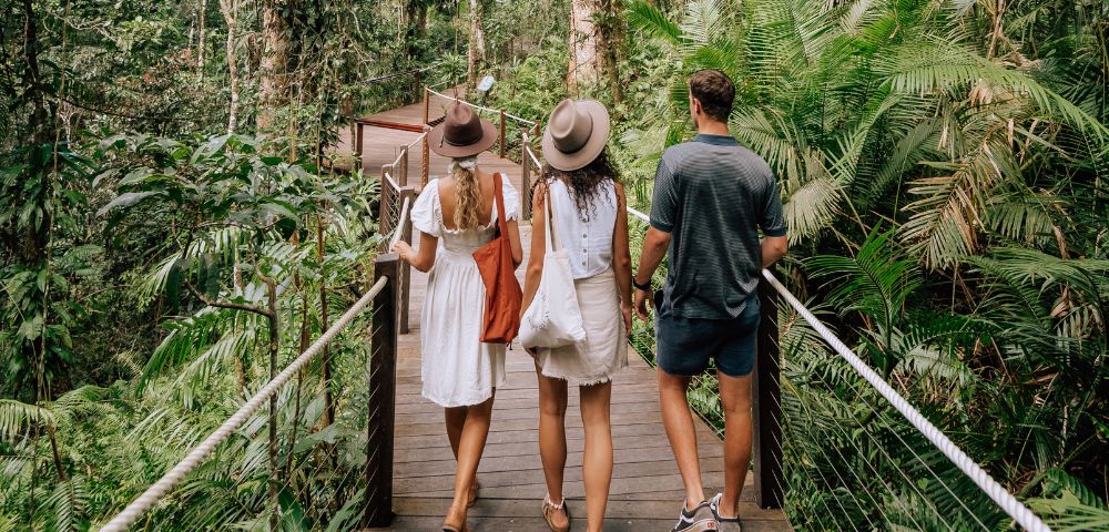 Three people walking on a wooden bridge surrounded by dense greenery.