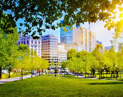 Urban park scene with lush green trees, grass, and walking paths. Modern city buildings in the background. Sunlight filters through tree leaves, creating a warm atmosphere.