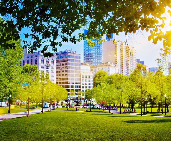 Urban park scene with lush green trees, grass, and walking paths. Modern city buildings in the background. Sunlight filters through tree leaves, creating a warm atmosphere.