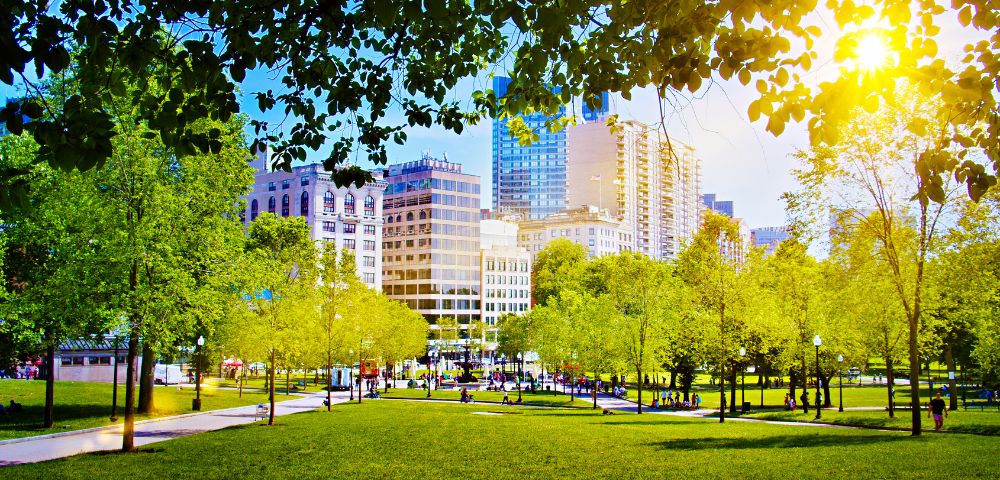 Urban park scene with lush green trees, grass, and walking paths. Modern city buildings in the background. Sunlight filters through tree leaves, creating a warm atmosphere.