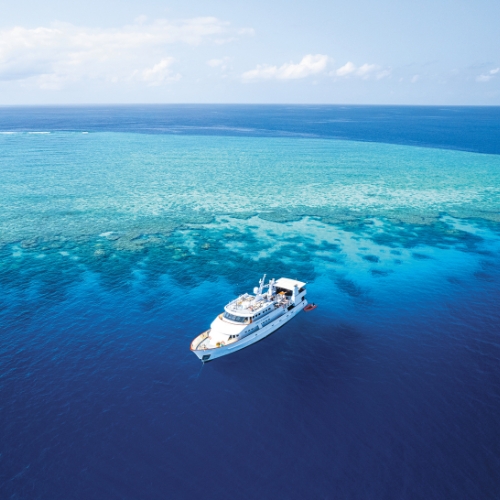 A white yacht sails in clear, turquoise waters above a vibrant coral reef.