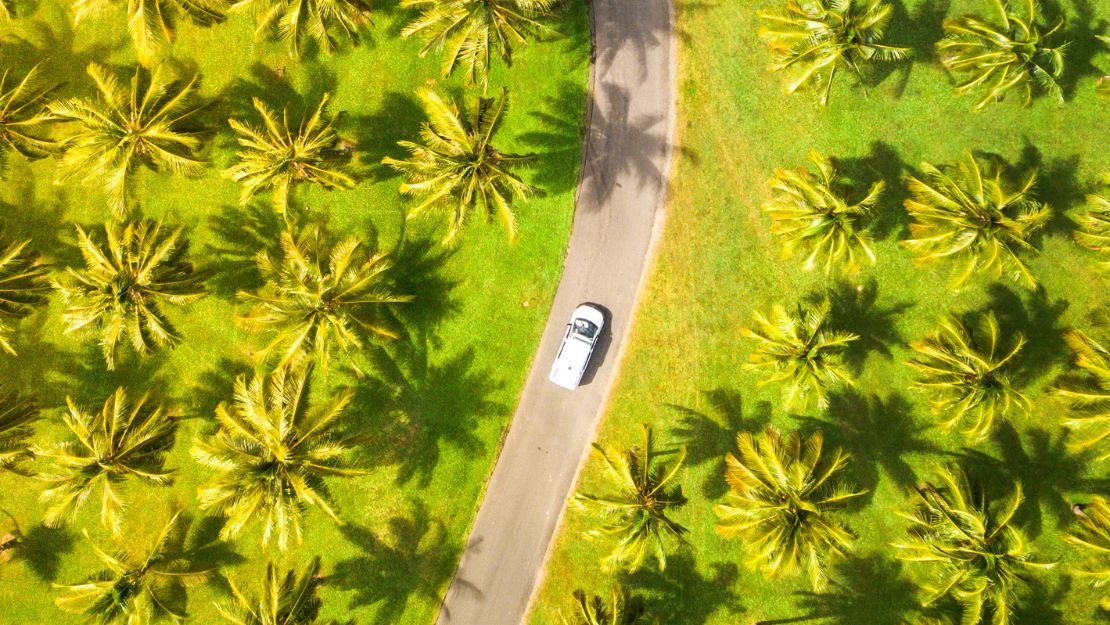 Aerial view of a white car traveling on a winding road surrounded by lush green palm trees, casting long shadows. The scene conveys a tropical, serene ambiance.