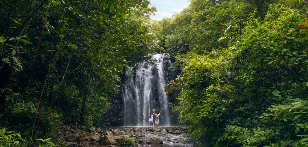 A couple stands in front of a cascading waterfall surrounded by lush, green foliage.