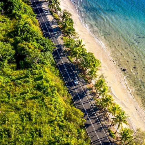 Aerial view of a coastal road lined with palm trees, dividing lush green foliage on the left from a serene turquoise ocean on the right.