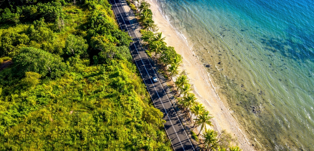 Aerial view of a coastal road lined with palm trees, dividing lush green foliage on the left from a serene turquoise ocean on the right.
