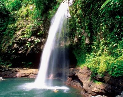 A serene waterfall cascades through a vibrant green jungle, surrounded by lush foliage and tropical plants.