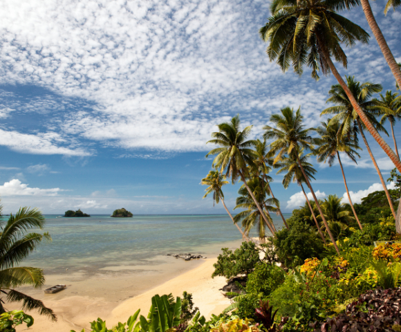 Tropical beach scene with palm trees, golden sand, and a tranquil sea under a blue sky dotted with white clouds.