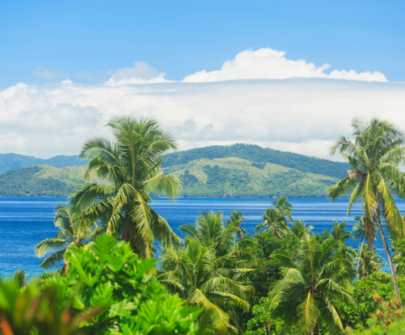 A vibrant tropical landscape featuring palm trees in the foreground, with a serene blue sea and lush mountains under a clear sky.