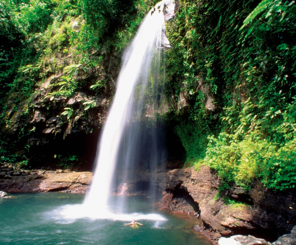 A serene waterfall cascades through a vibrant green jungle, surrounded by lush foliage and tropical plants.