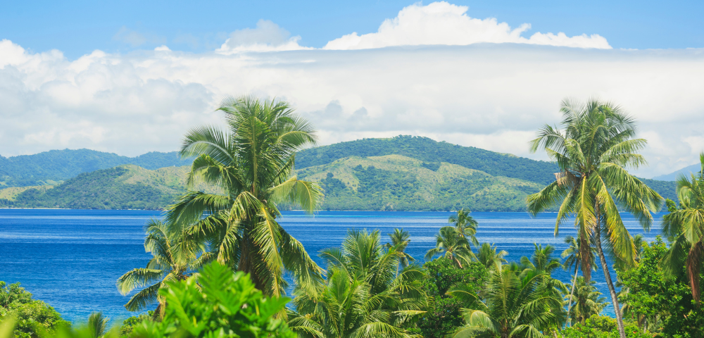 A vibrant tropical landscape featuring palm trees in the foreground, with a serene blue sea and lush mountains under a clear sky.