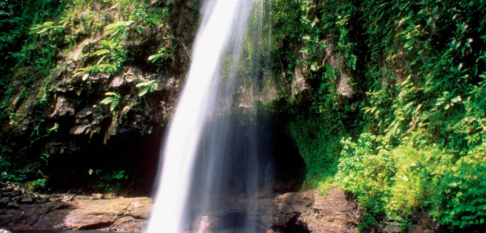 A serene waterfall cascades through a vibrant green jungle, surrounded by lush foliage and tropical plants.