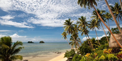 Tropical beach scene with palm trees, golden sand, and a tranquil sea under a blue sky dotted with white clouds.