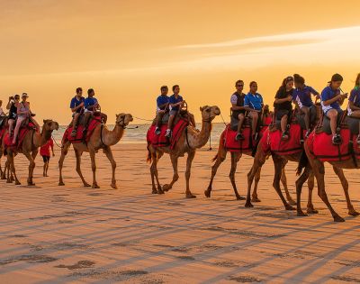 Group riding camels on a beach at sunset with golden sand and warm lighting.